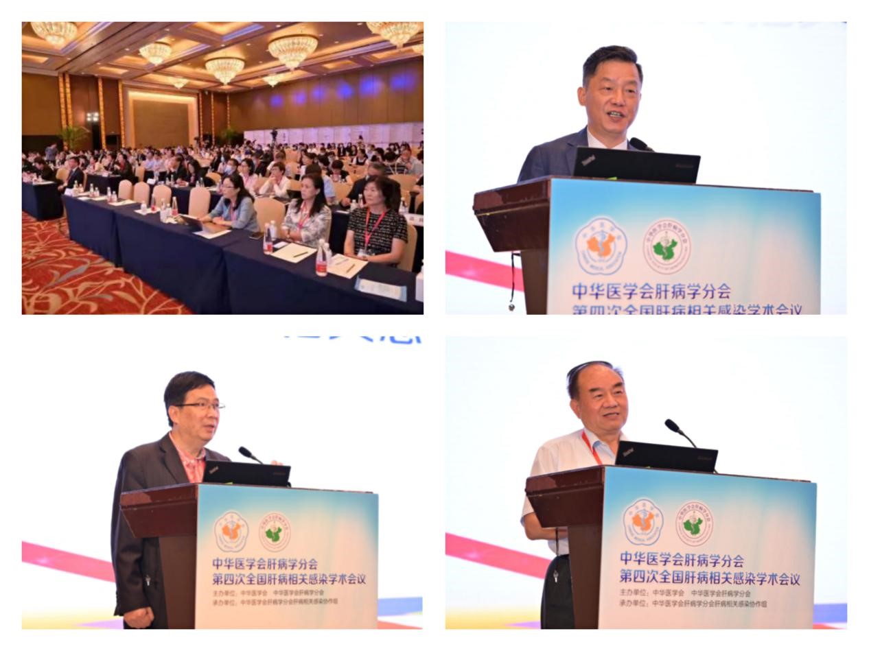 聚焦學(xué)術(shù)前沿，共迎肝病防治新征程！福瑞股份以學(xué)術(shù)助力中醫(yī)藥發(fā)展